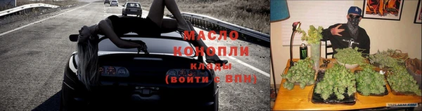 крисы Абаза