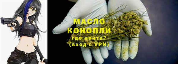 молекула духа Алексеевка