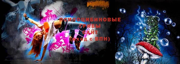 амф Алексин